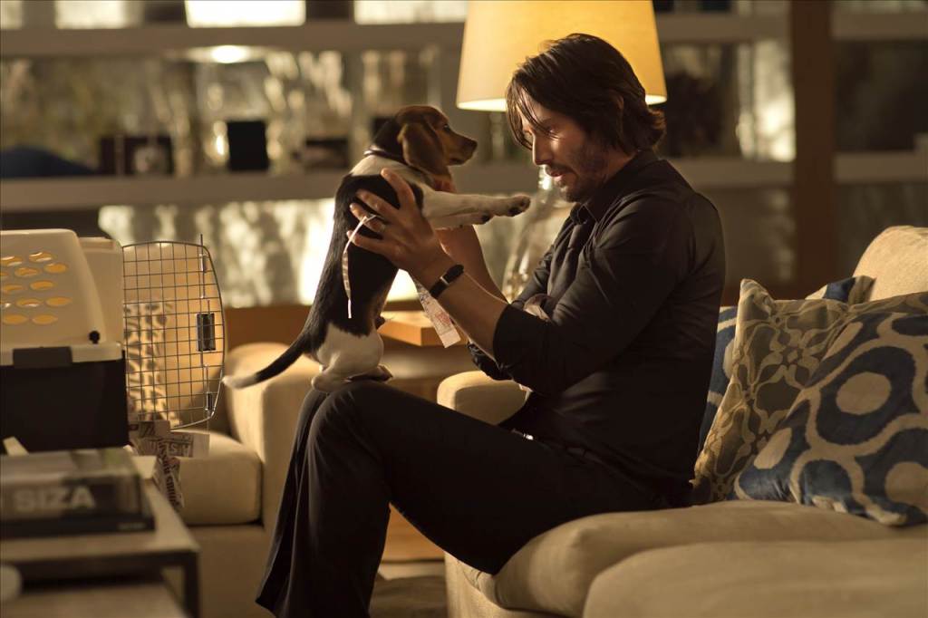 john_wick_puppy